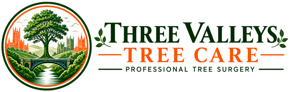main-logo (1)
